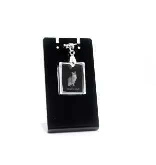 Chat Singapour - Crystal cat pendant, photo necklace, unique jewellery by Art-Dog