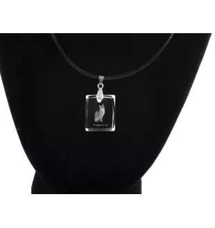 Chat Singapour - Crystal cat pendant, photo necklace, unique jewellery by Art-Dog
