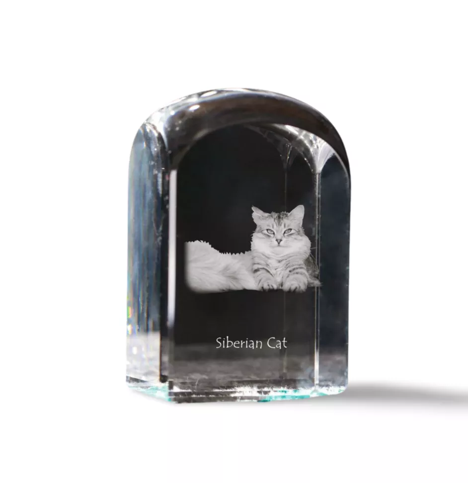 Siberian Cat - crystal cube with a photo, photo of a cat in crystal, cubic paperweight from Art-Dog brand