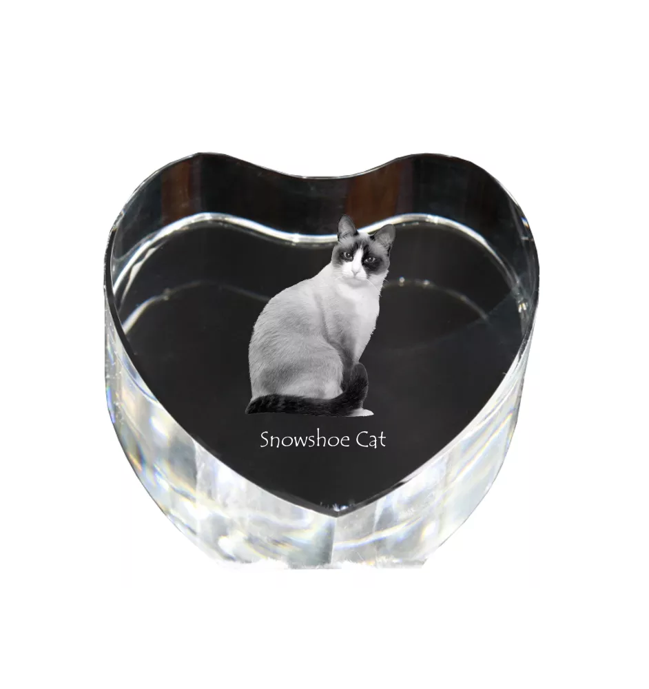 Schneeschuh-Katze - Kristalluhr mit Katzenbild, Herzregal-Uhr, personalisierte Standuhr von Art-Dog.