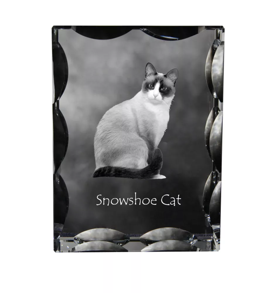 Schneeschuh-Katze - Kristall mit Katzenbild, Glasstatuette mit Bild, einzigartiger Bilderrahmen der Marke Art-Dog