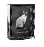 Chat Snowshoe - cristal avec une photo de chat, une statuette en verre avec une photo, un cadre exceptionnel avec une photo de la marque Art-Dog