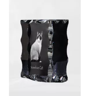 Chat Snowshoe - cristal avec une photo de chat, une statuette en verre avec une photo, un cadre exceptionnel avec une photo de la marque Art-Dog