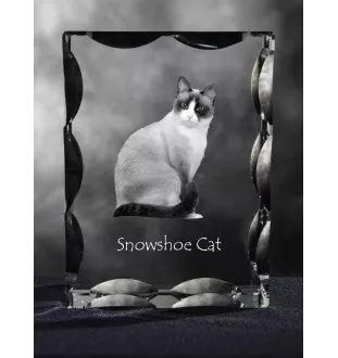 Chat Snowshoe - cristal avec une photo de chat, une statuette en verre avec une photo, un cadre exceptionnel avec une photo de la marque Art-Dog