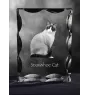 Snowshoe Cat - crystal with a cat picture, glass statuette with a picture, unique frame with a picture from Art-Dog brand