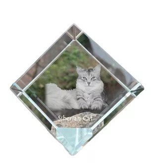 Sibirische Katze - Kristallwürfel mit Katzenbild, Pferdebild im Kristall, sechseckiger Papierclip von der Marke Art-Dog