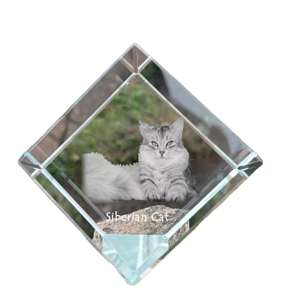 Sibirische Katze - Kristallwürfel mit Katzenbild, Pferdebild im Kristall, sechseckiger Papierclip von der Marke Art-Dog