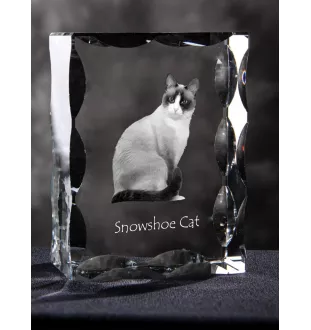 Chat Snowshoe - cristal avec une photo de chat, une statuette en verre avec une photo, un cadre exceptionnel avec une photo de la marque Art-Dog