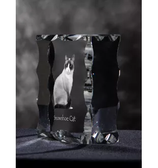 Snowshoe  ramka kryształowa z kotem Art-Dog