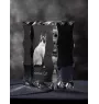 Snowshoe Cat - crystal with a cat picture, glass statuette with a picture, unique frame with a picture from Art-Dog brand
