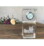Siberian Cat - crystal clock with a photo, photo of a cat in crystal, personalized desk clock by Art-Dog brand