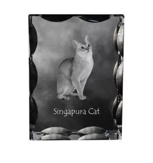 Singapura Cat - crystal with a cat picture, glass statuette with a picture, unique frame with a picture from Art-Dog brand