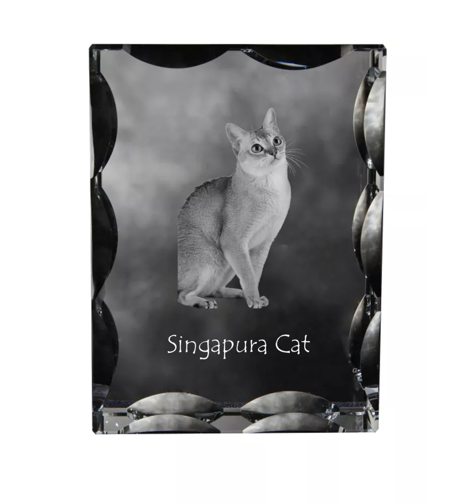 Singapura Cat - crystal with a cat picture, glass statuette with a picture, unique frame with a picture from Art-Dog brand
