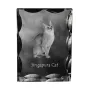 Singapura Cat - crystal with a cat picture, glass statuette with a picture, unique frame with a picture from Art-Dog brand