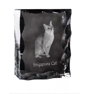 Chat Singapour - cristal avec une photo de chat, une statuette en verre avec une photo, un cadre exceptionnel avec une photo de la marque Art-Dog