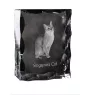 Singapura Cat - crystal with a cat picture, glass statuette with a picture, unique frame with a picture from Art-Dog brand