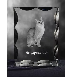 Singapura Katze - Kristall mit Katzenbild, Glasstatuette mit Bild, einzigartiger Bilderrahmen der Marke Art-Dog