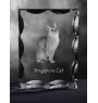 Singapura Katze - Kristall mit Katzenbild, Glasstatuette mit Bild, einzigartiger Bilderrahmen der Marke Art-Dog