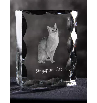 Singapura Cat - crystal with a cat picture, glass statuette with a picture, unique frame with a picture from Art-Dog brand