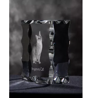 Singapura Cat - crystal with a cat picture, glass statuette with a picture, unique frame with a picture from Art-Dog brand