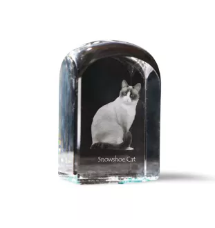 Schneeschuh-Katze - Kristallwürfel mit Bild, Katzenbild im Kristall, sechseckiger Papierclip von der Marke Art-Dog