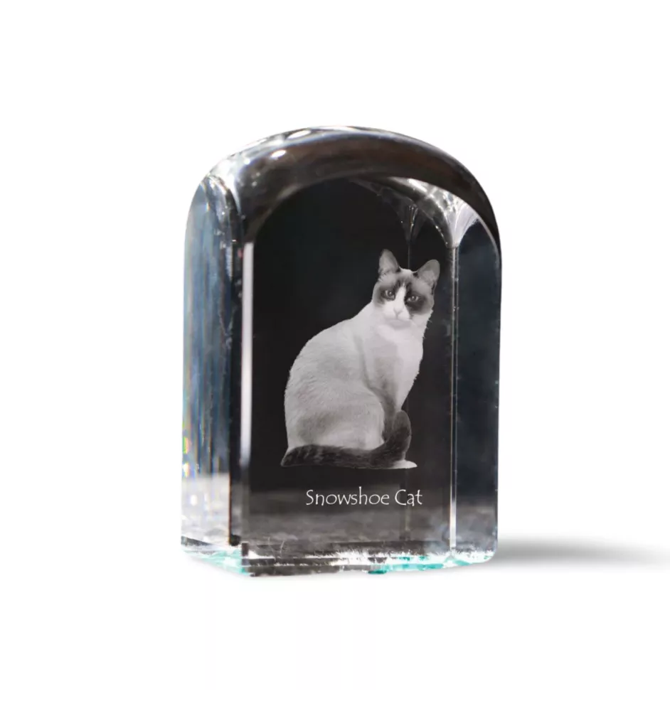 Schneeschuh-Katze - Kristallwürfel mit Bild, Katzenbild im Kristall, sechseckiger Papierclip von der Marke Art-Dog