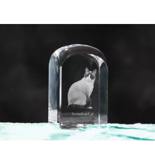 Snowshoe  kryształ pieczątka z kotem Art-Dog