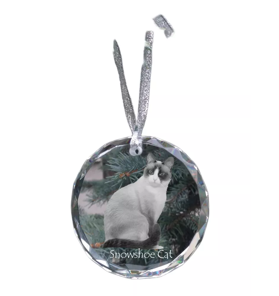 Snowshoe Cat - crystal bauble with a photo, photo of a cat in crystal, personalized Christmas tree ornament by Art-Dog brand