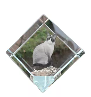 Chat Snowshoe - un cube en cristal avec une photo de chat, une photo de cheval dans le cristal, un presse-papiers cubique de la marque Art-Dog