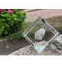 Chat Snowshoe - un cube en cristal avec une photo de chat, une photo de cheval dans le cristal, un presse-papiers cubique de la marque Art-Dog