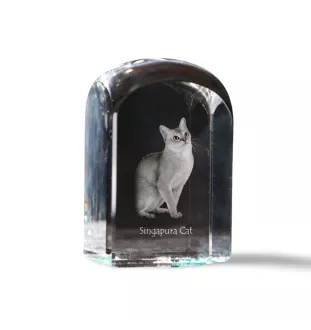Singapura Cat - crystal cube with a photo, photo of a cat in crystal, cubic paperweight from Art-Dog brand