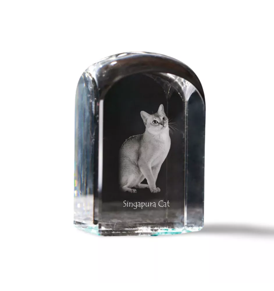 Singapura Cat - crystal cube with a photo, photo of a cat in crystal, cubic paperweight from Art-Dog brand