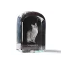 Singapura Katze - Kristallwürfel mit Bild, Katzenbild im Kristall, sechseckiger Papierclip von der Marke Art-Dog