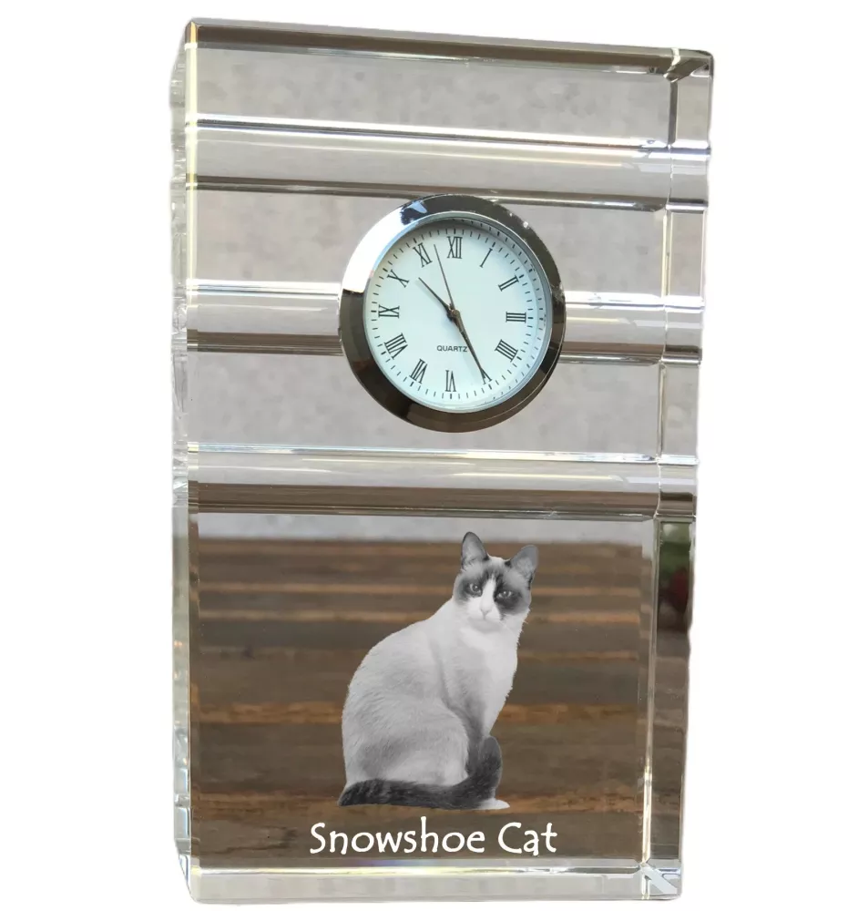Chat Snowshoe - une horloge en verre avec une photo, une photo de chat dans un cristal, une horloge de bureau personnalisée de la marque Art-Dog