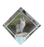 Singapura Katze - Kristallwürfel mit Katzenbild, Pferdebild im Kristall, sechseckiger Papierclip von der Marke Art-Dog