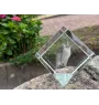 Singapura Cat - crystal cube with a picture of a cat, crystal with a picture of a horse, cubic paperweight by Art-Dog brand