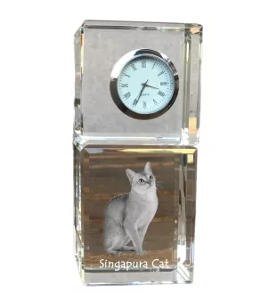 Singapura Cat - crystal clock with a photo, photo of a cat in crystal, personalized desk clock by Art-Dog brand