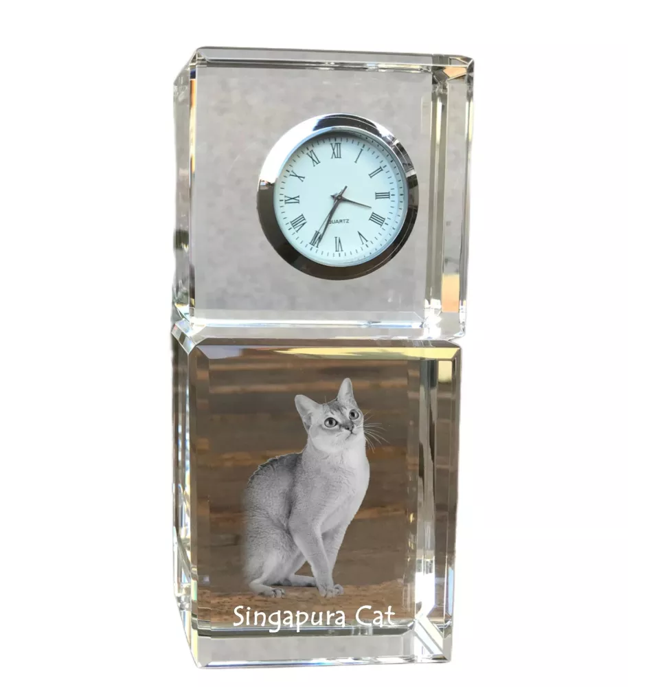 Singapura Cat - crystal clock with a photo, photo of a cat in crystal, personalized desk clock by Art-Dog brand