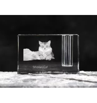 Sibirische Katze - Stifthalter, Kristallorganizer mit Katzenfoto, einzigartige Schreibtischdekoration der Marke Art-Dog