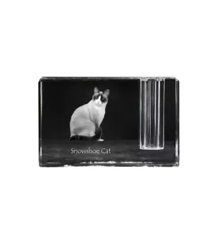 Snowshoe Cat - Pen stand, crystal organiser with cat photo, unique desk decoration by Art-Dog brand
