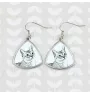 Singapura Cat - cat earrings, hanging earrings with a picture, personalized jewelry with Art-Dog brand print.