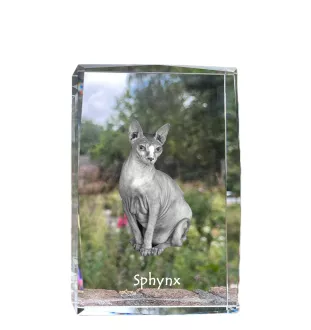 Sphynx - cristal avec une photo de chat, photo sous verre, exposition moderne de la marque de photos Art-Dog