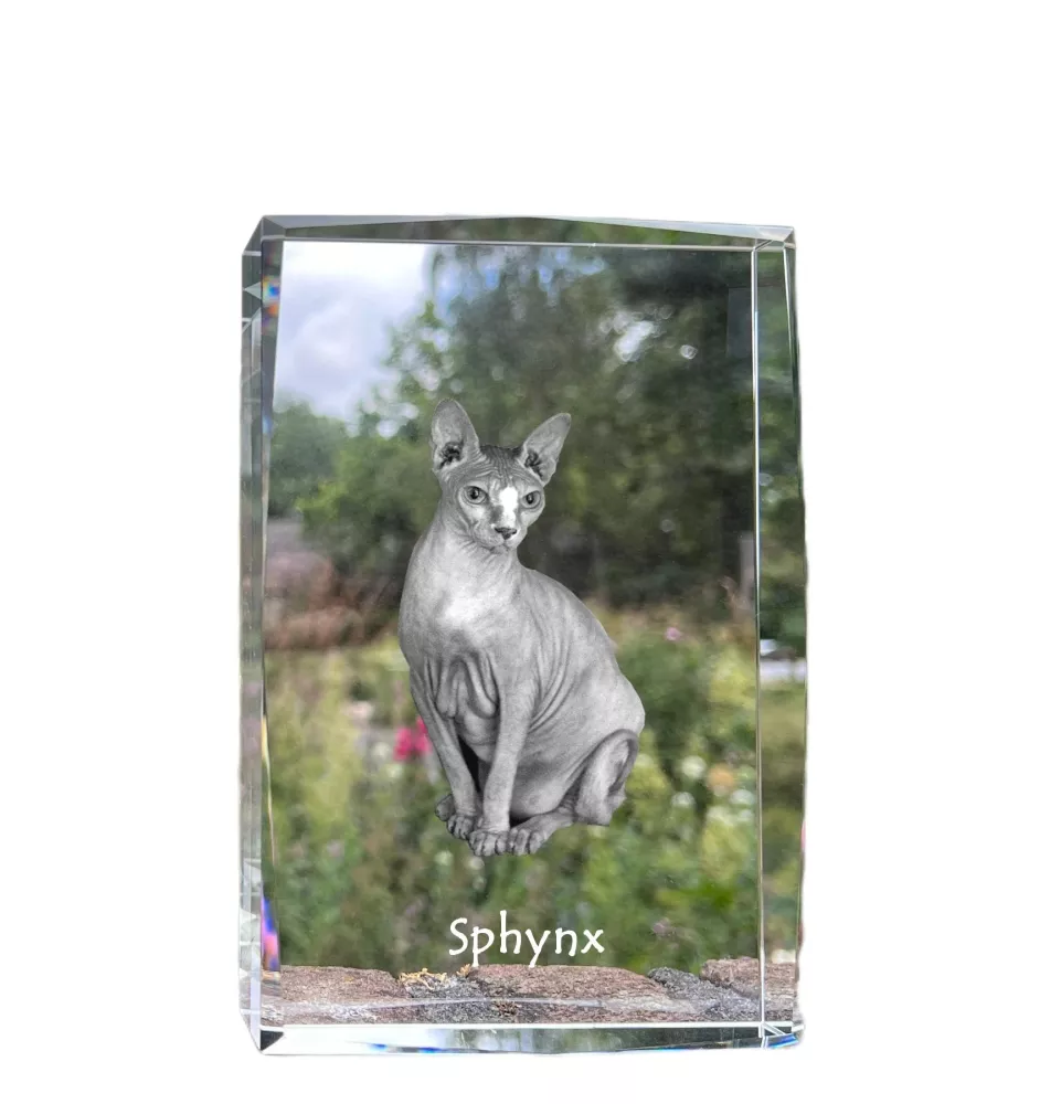 Sphynx - cristal avec une photo de chat, photo sous verre, exposition moderne de la marque de photos Art-Dog