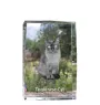 Tonkinese Cat - crystal with a picture of a cat, photo in glass, modern exhibition of Art-Dog brand photo