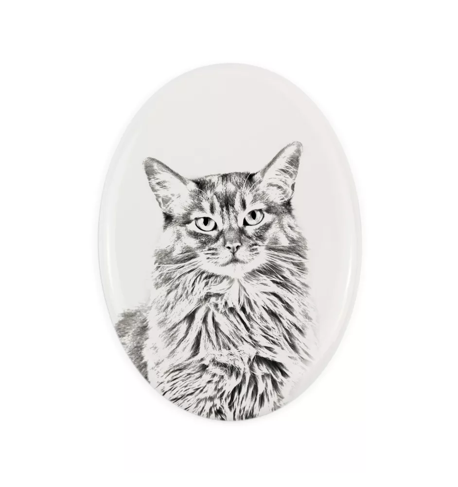 Somali Cat - commemorative plaque with a cat photo, tombstone with a print, personalized oval plaque from the Art-Dog brand