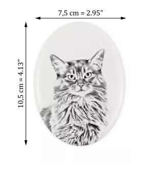 Somali Cat - commemorative plaque with a cat photo, tombstone with a print, personalized oval plaque from the Art-Dog brand