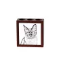 Tonkinese Cat - pen holder with a cat, desk organizer with a print, personalized desk decoration by Art-Dog brand
