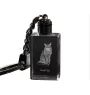 Somali - Crystal pendant with cat photo, illuminated pendant, unique gift by Art-Dog brand