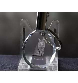 Somali-Katze - Fob with cat photo, crystal key ring in gift box, unique gift by Art-Dog brand