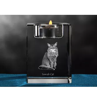 Somali - Kerzenhalter mit Katzenfoto, Teelichthalter aus Kristall, personalisiertes Geschenk der Marke Art-Dog